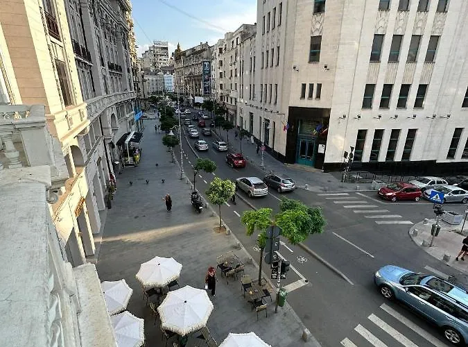 Oyster Flat Victoriei