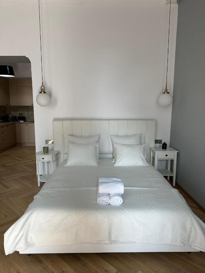 公寓 Oyster Flat Victoriei 布加勒斯特
