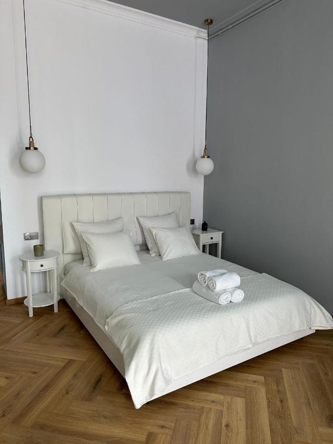 公寓 Oyster Flat Victoriei 布加勒斯特